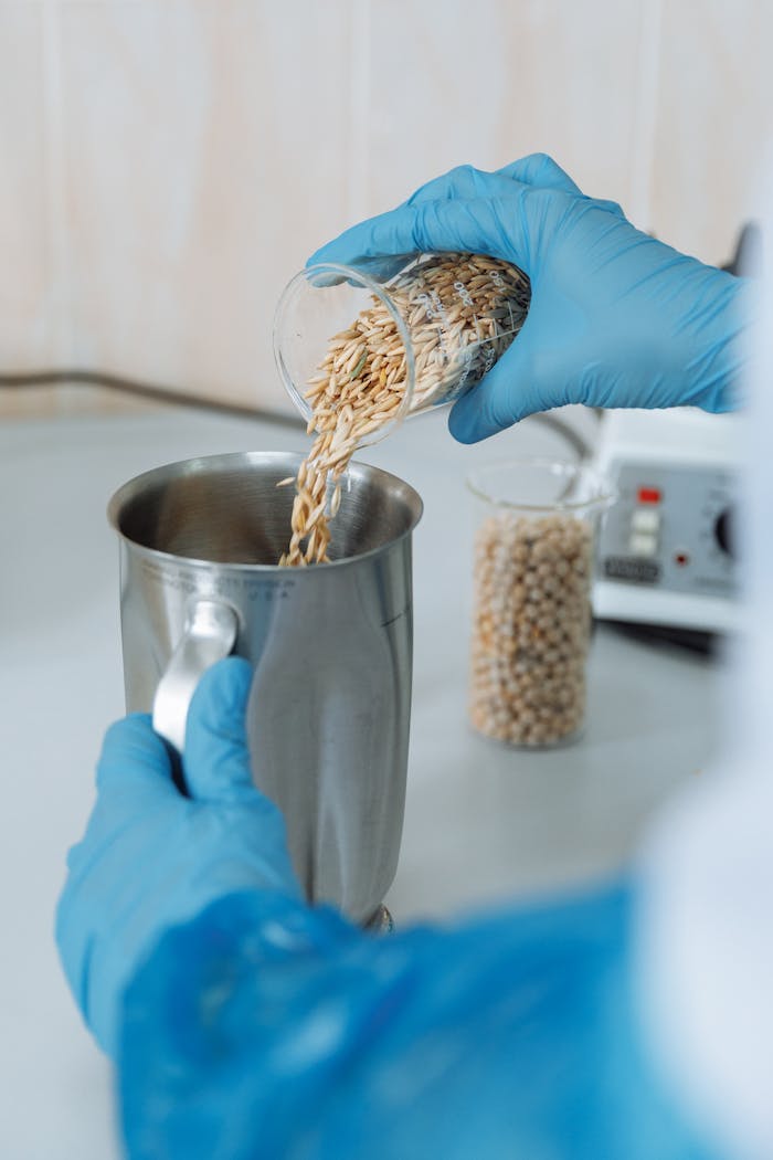 portfolio-03 A scientist wearing rubber gloves pours grains into a metallic container for research.